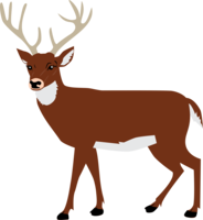 animals & Moose elk free transparent png image.