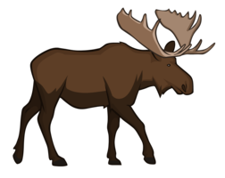 animals & Moose elk free transparent png image.