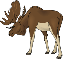 animals & Moose elk free transparent png image.