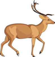 animals & Moose elk free transparent png image.