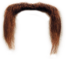 people & moustache free transparent png image.