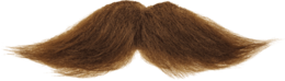 people & Moustache free transparent png image.