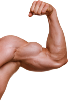 people & Muscle free transparent png image.