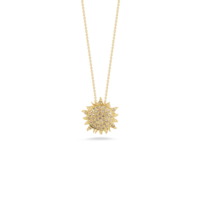 jewelry & Necklace free transparent png image.