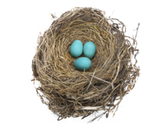 nature&Nest png image.