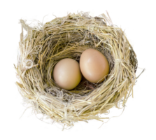 nature & nest free transparent png image.