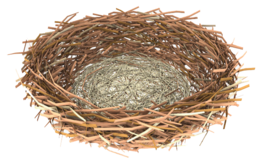 nature & Nest free transparent png image.