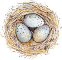 nature & nest free transparent png image.