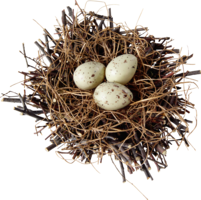 nature & nest free transparent png image.