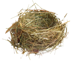 nature & nest free transparent png image.