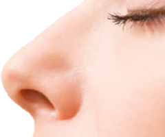 people & Nose free transparent png image.