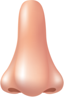 people & Nose free transparent png image.