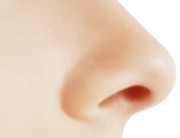 people & nose free transparent png image.