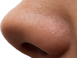 people & nose free transparent png image.