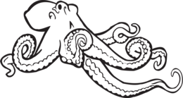 animals & octopus free transparent png image.