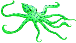 animals & Octopus free transparent png image.