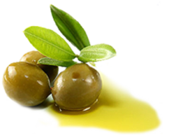 food & olive oil free transparent png image.