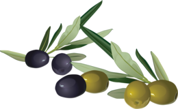 vegetables & Olives free transparent png image.