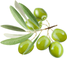 vegetables & Olives free transparent png image.