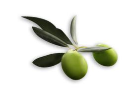 vegetables & Olives free transparent png image.