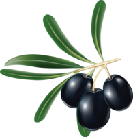 vegetables & olives free transparent png image.