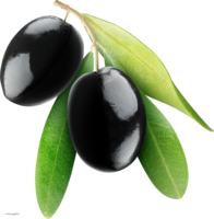 vegetables & Olives free transparent png image.