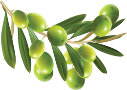 vegetables & olives free transparent png image.