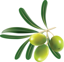 vegetables & olives free transparent png image.