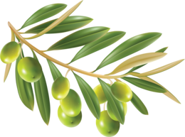 vegetables & Olives free transparent png image.