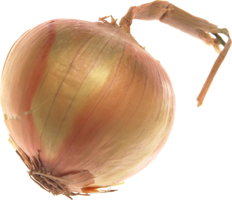 vegetables & Onion free transparent png image.