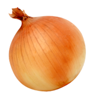 vegetables & onion free transparent png image.