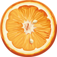 fruits & Orange free transparent png image.