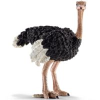 animals & Ostrich free transparent png image.