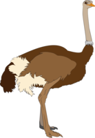 animals & ostrich free transparent png image.