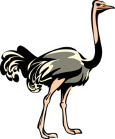 animals & Ostrich free transparent png image.