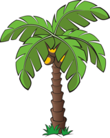 nature & Palm tree free transparent png image.