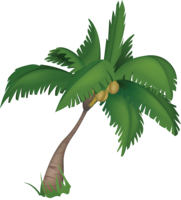 nature & Palm tree free transparent png image.