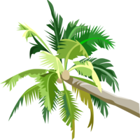 nature & Palm tree free transparent png image.