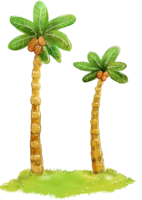 nature & Palm tree free transparent png image.