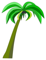 nature & Palm tree free transparent png image.