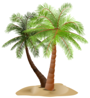 nature & Palm tree free transparent png image.