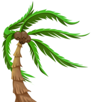 nature & Palm tree free transparent png image.