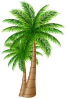 nature & Palm tree free transparent png image.