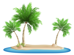 nature & Palm tree free transparent png image.