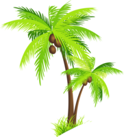 nature & Palm tree free transparent png image.