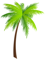 nature & Palm tree free transparent png image.