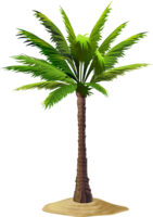 nature & Palm tree free transparent png image.