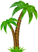 nature & Palm tree free transparent png image.