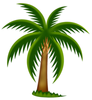 nature & Palm tree free transparent png image.