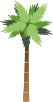 nature & Palm tree free transparent png image.